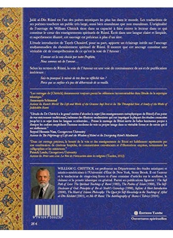 La Doctrine Soufie de Rûmî CHITTICK, WILLIAM C.